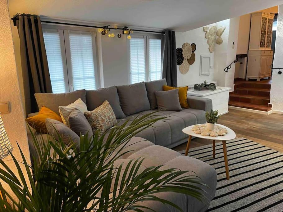 Ferienwohnung Terrassenblick 曲尔皮希 外观 照片